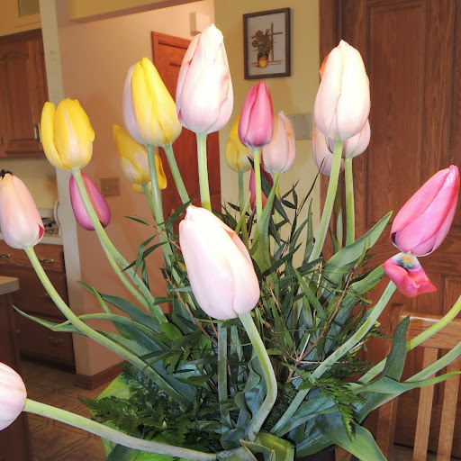 Diane Hanson Photo 2