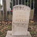 Joseph Ayres Photo 31
