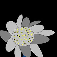 Annie Conner Photo 25