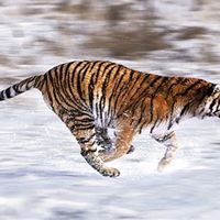 Johnny Dyer Photo 40