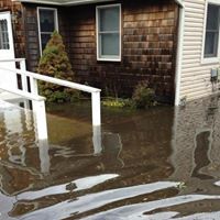 Irene James Photo 22