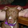 Donna Calvert Photo 37