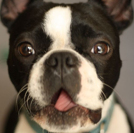 Kathy Mercer Photo 37