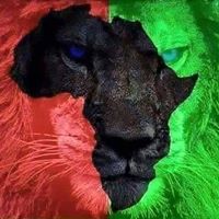 Randle Kennedy Photo 7