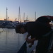 Tony Bustos Photo 7