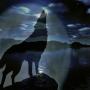 Debra Thomason Photo 13