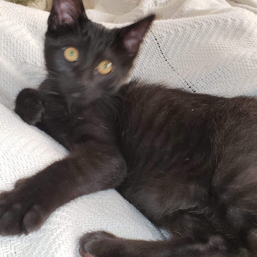 Melissa Shepherd Photo 36