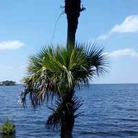 Kory Taylor Photo 10