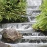 Sherry Qualls Photo 4