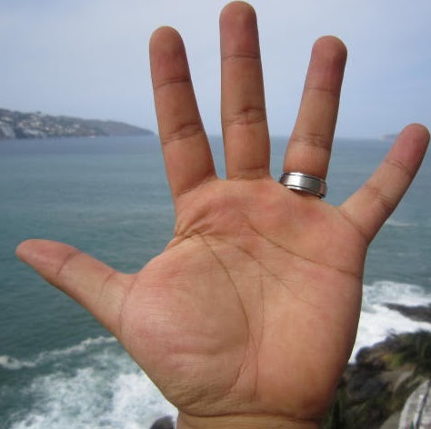 Alejandro Vilchis Photo 14