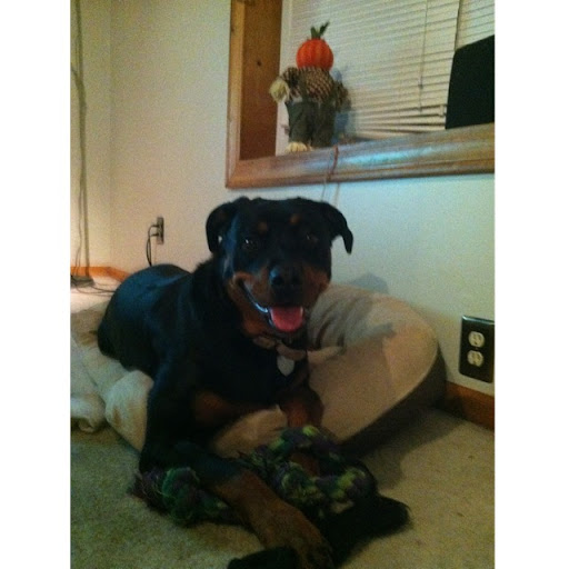 Richard Conley Photo 50