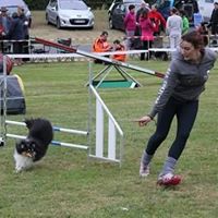 Cindy Schmitt Photo 6