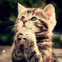 Daniel Hawk Photo 16