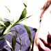 Andrei Pop Photo 17