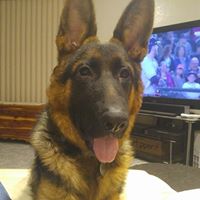 Larry Phillips Photo 17