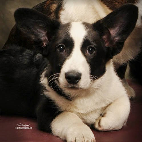 Kathryn Arthur Photo 8