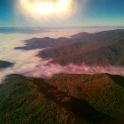 Donna Bowling Photo 37