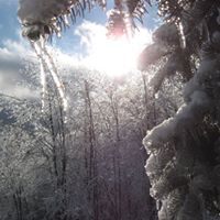 Anna Kupinski Photo 3