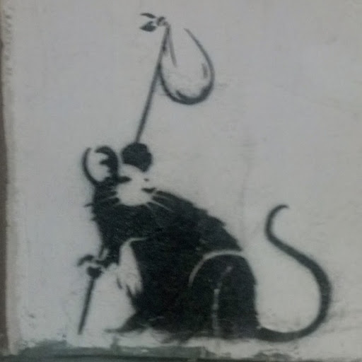 Jason Collins Photo 21