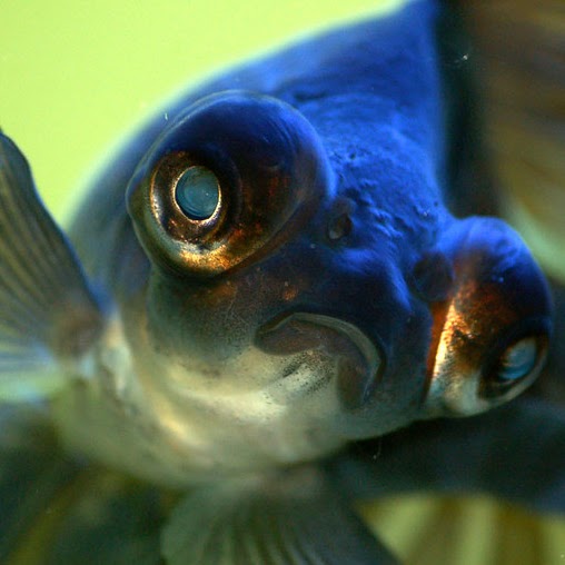 Katherine Powell Photo 47