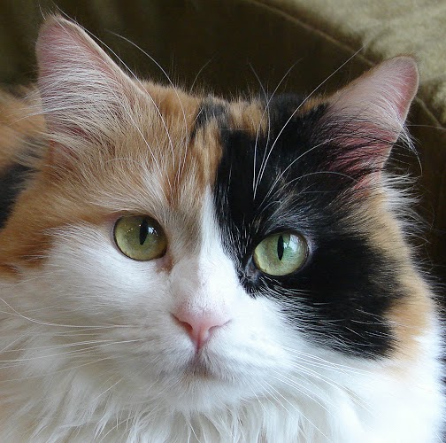 Katherine Billings Photo 7