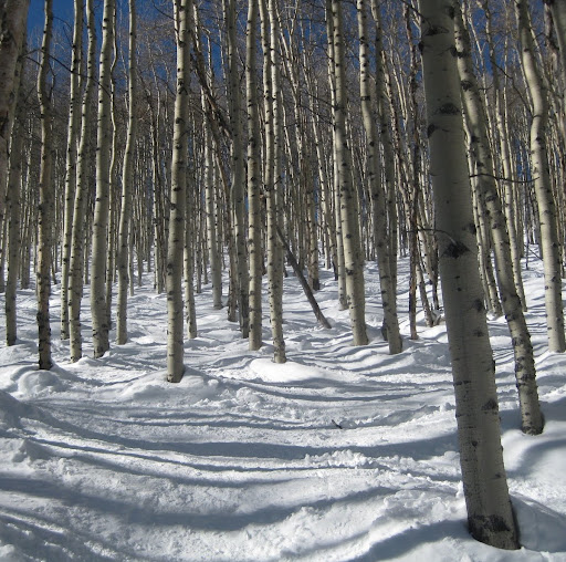 Neil Dougherty Photo 25 Neil Dougherty Photo 25