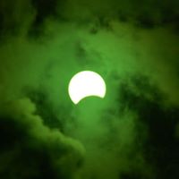 Leah Robins Photo 10