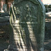 Thomas Moffitt Photo 10