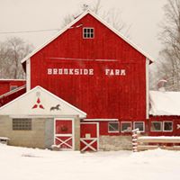 Theresa Roark Photo 20