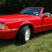 Mike Connell Photo 20