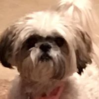 Heidi Thompson Photo 31