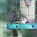 Debra Call Photo 23