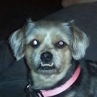 Beatrice Cook Photo 15