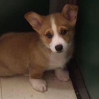 Jennifer Goode Photo 20