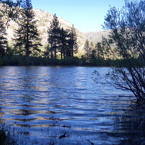 Charles Winter Photo 41 Charles Winter Photo 41