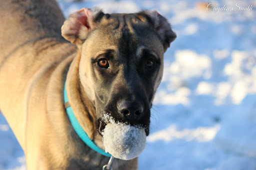 Hayley Smith Photo 10