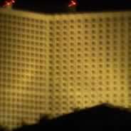 Tracy Moses Photo 37