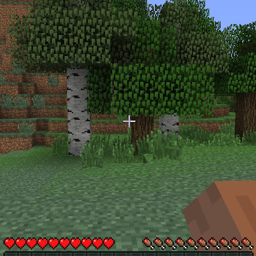 Alexander Witte Photo 6