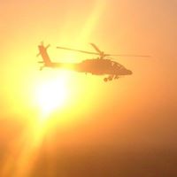 Phillip Cain Photo 21