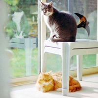 Charlie Aldridge Photo 31