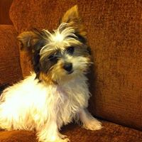 Debra Overstreet Photo 2