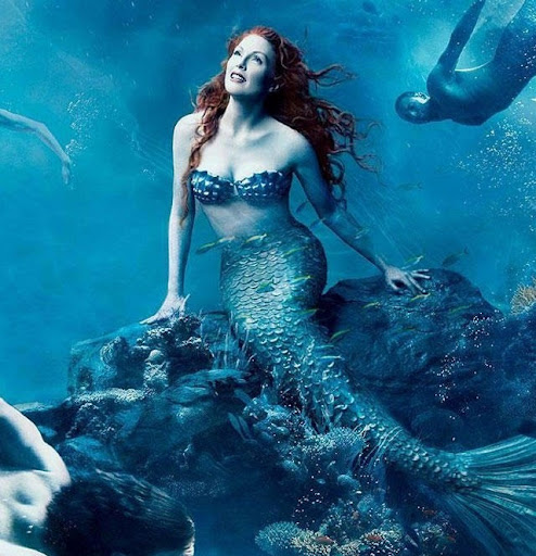 Debra Shrader Photo 5