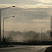 Anthony Sanfilippo Photo 16