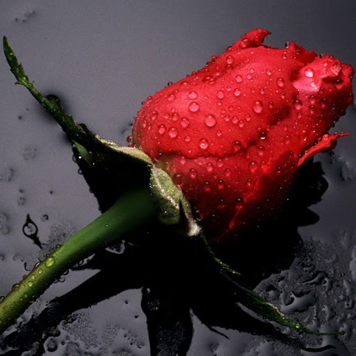 Lynn Frederick Photo 32