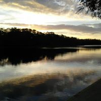 Shawn Jenkins Photo 29