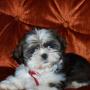 Teresa Branch Photo 15