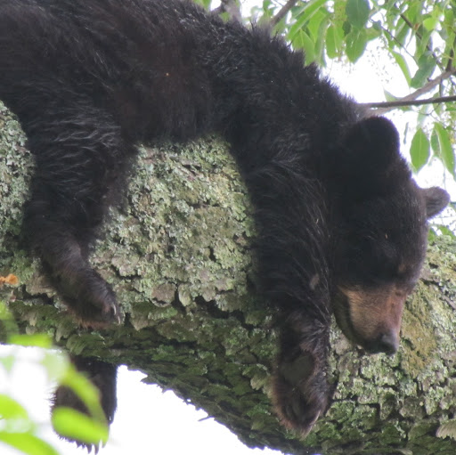Kimberly Hartman Photo 37