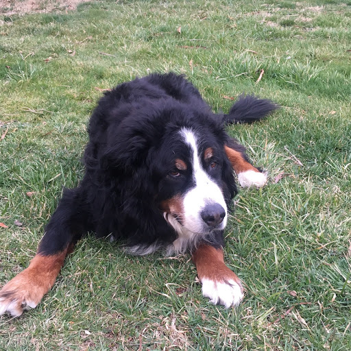 Michael Kane Photo 49 Michael Kane Photo 49