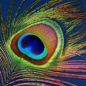 Pamela Greenwood Photo 27