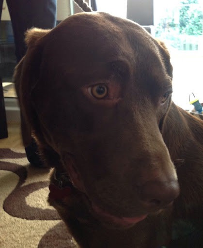 Maxwell Hunter Photo 28